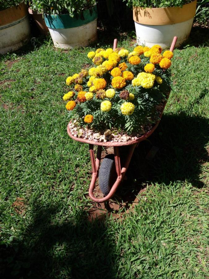 Eco Pousada Jardim Do Eden Alto Paraíso de Goiás Zewnętrze zdjęcie