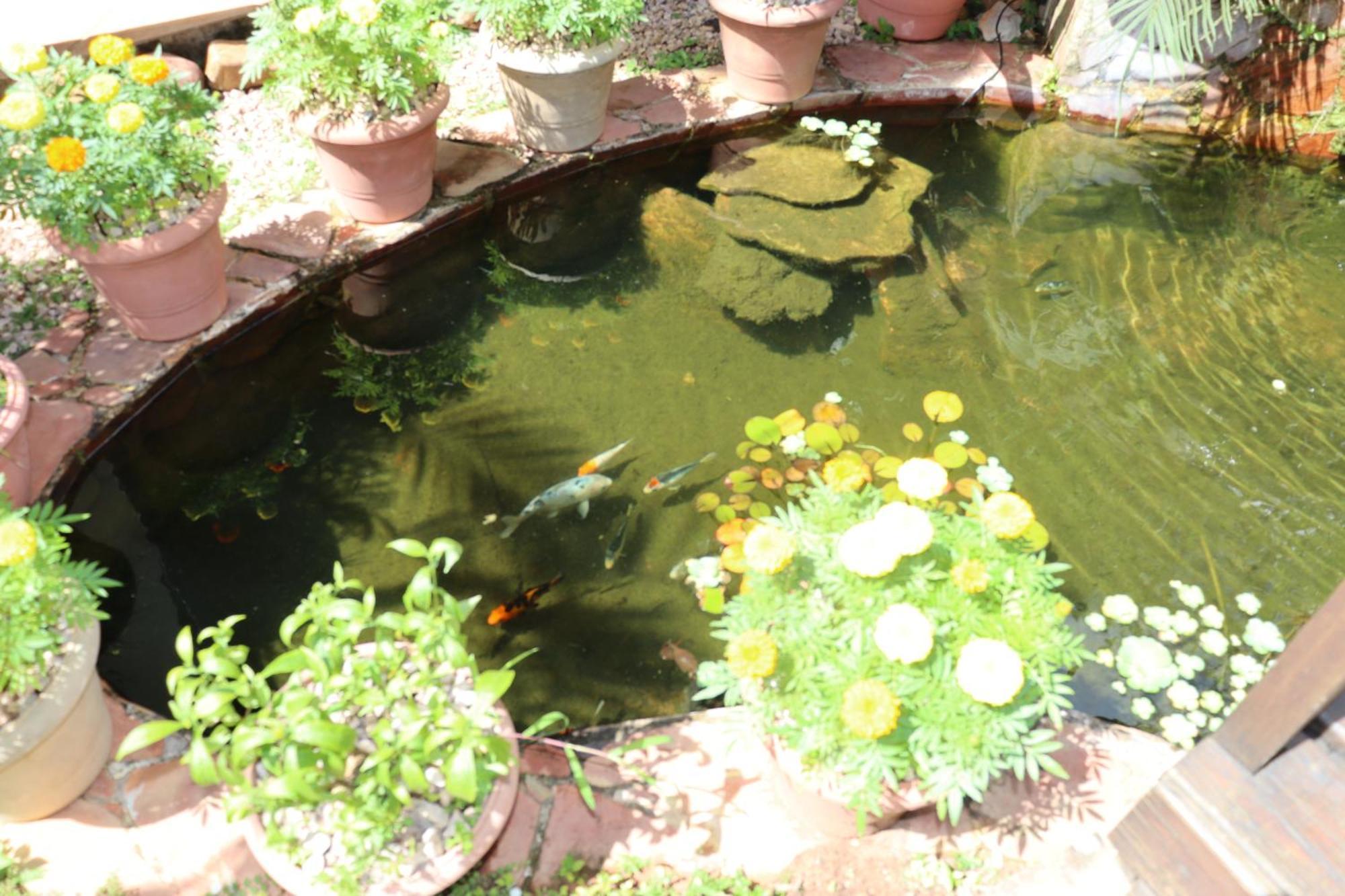 Eco Pousada Jardim Do Eden Alto Paraíso de Goiás Zewnętrze zdjęcie