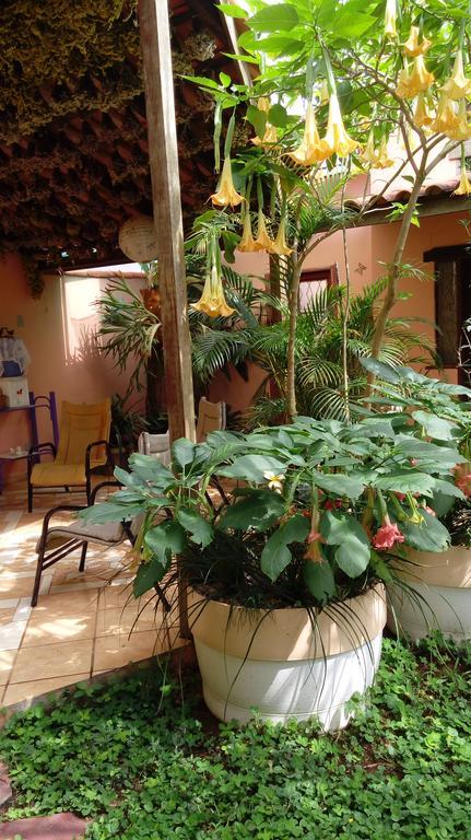 Eco Pousada Jardim Do Eden Alto Paraíso de Goiás Zewnętrze zdjęcie