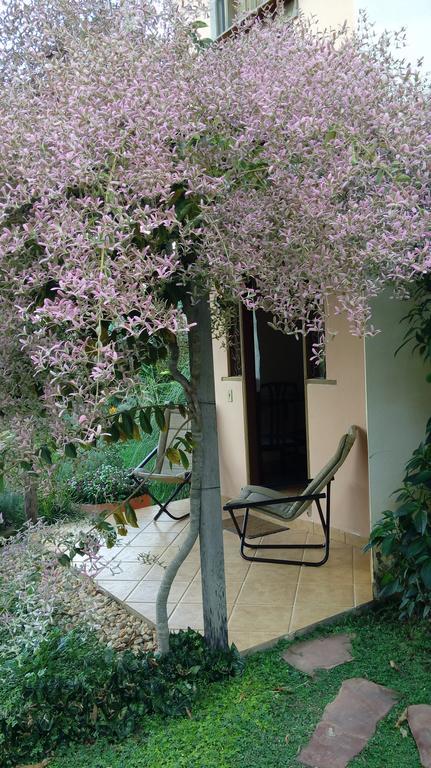 Eco Pousada Jardim Do Eden Alto Paraíso de Goiás Zewnętrze zdjęcie