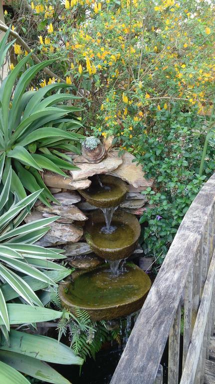 Eco Pousada Jardim Do Eden Alto Paraíso de Goiás Zewnętrze zdjęcie